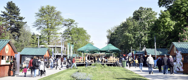 УЛИЧНИ ФЕСТИВАЛ ХРАНЕ НА ТАШМАЈДАНУ: Суши у парку за 500 динара